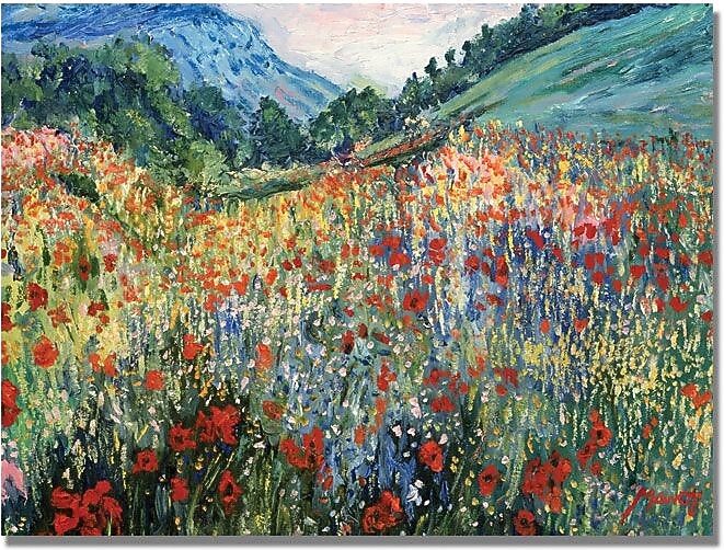 Trademark Fine Art 'Field of Wild Floweres' Canvas Art