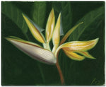 Trademark Global "Lilies" Canvas Art, 24" x 32"