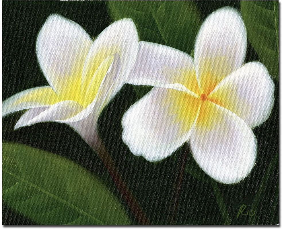 Trademark Global "Hawaiian Lei Flowers" Canvas Art, 14" x 19"