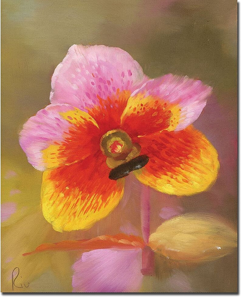 Trademark Global "Orange-Pink Orchid" Canvas Art, 19" x 14"