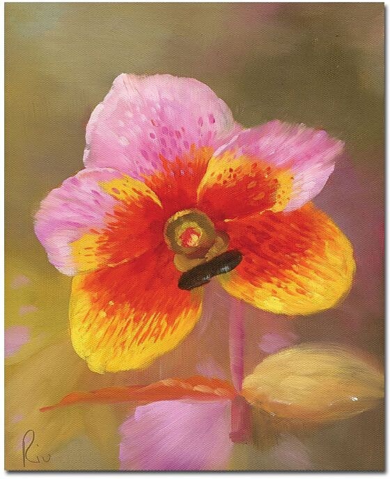 Trademark Global "Orange-Pink Orchid" Canvas Art, 32" x 24"