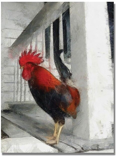 Trademark Global Michelle Calkins "Key West Rooster" Canvas Art, 24" x 18"