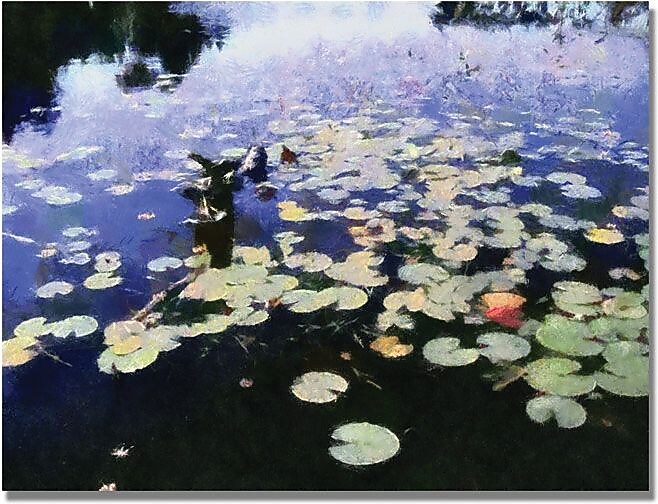Trademark Global Michelle Calkins "Water Lilies in the River II" Canvas Art, 18" x 24"