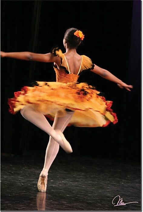 Trademark Global Martha Guerra "Ballerina VI" Canvas Art, 24" x 16" (MG032-C1624GG)