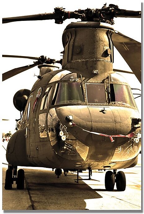 Trademark Global MCat "Chinook" Canvas Art, 24" x 16"
