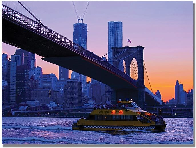 Trademark Global MCat "NYC" Canvas Art, 35" x 47"