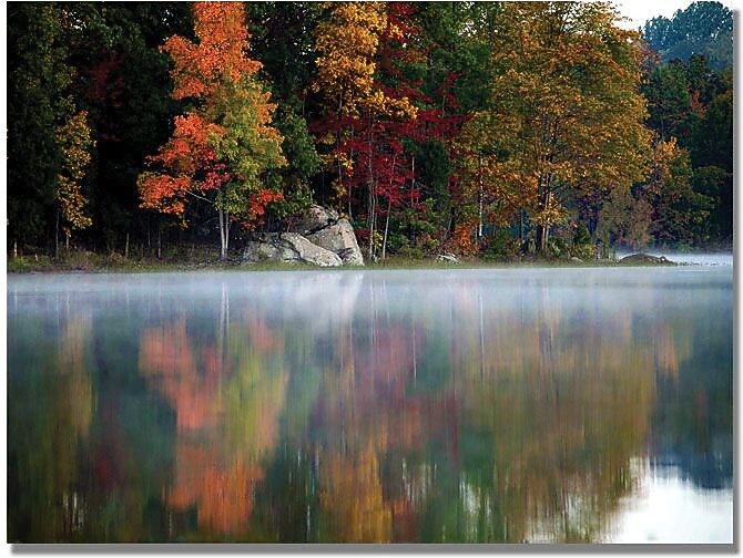 Trademark Global MCat "Old Autumn" Canvas Art, 18" x 24"