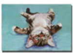 Trademark Global Pat Saunders White "Little Napper" Canvas Art, 14" x 19"