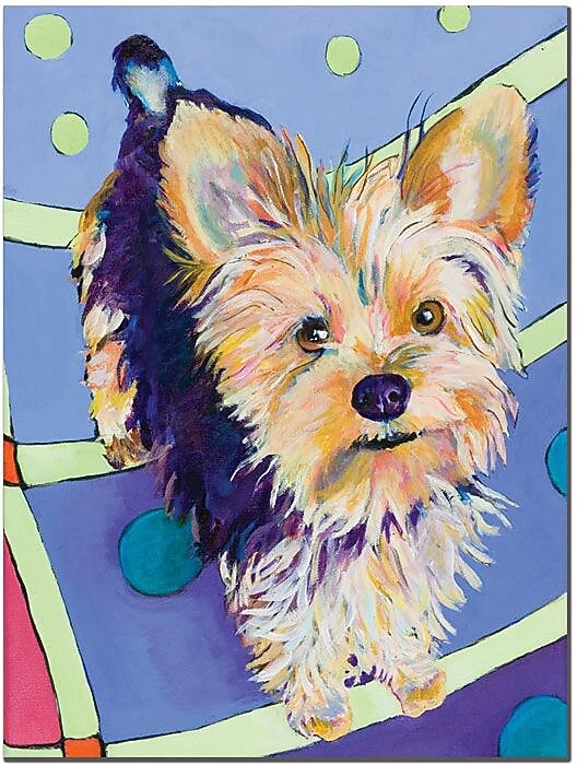Trademark Global Pat Saunders White "Claire" Canvas Art, 32" x 26"