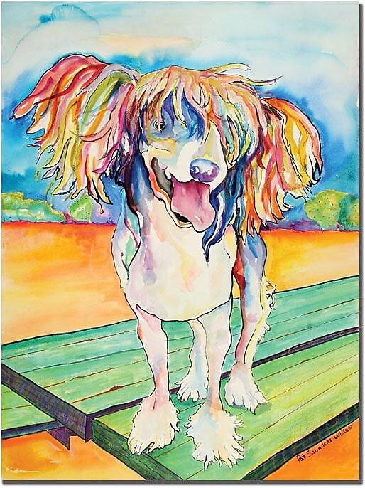 Trademark Global Pat Saunders White "Mango Salsa" Canvas Art, 19" x 14"