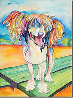 Trademark Global Pat Saunders White "Mango Salsa" Canvas Art, 47" x 35"