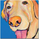 Trademark Global Pat Saunders White "Rex" Canvas Art, 18" x 18"