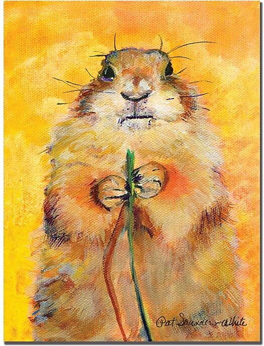 Trademark Global Pat Saunders White "Target" Canvas Art, 47" x 35"