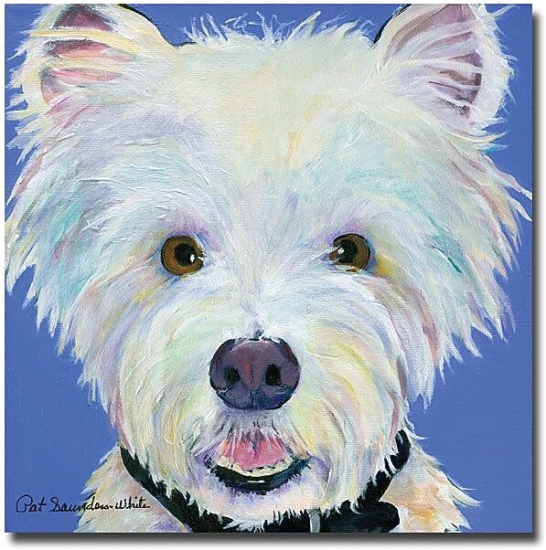 Trademark Global Pat Saunders White "Amos" Canvas Art, 18" x 18"