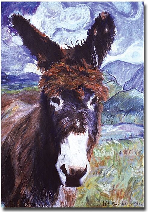 Trademark Global Pat Saunders White "Carrot Top" Canvas Art, 24" x 16"