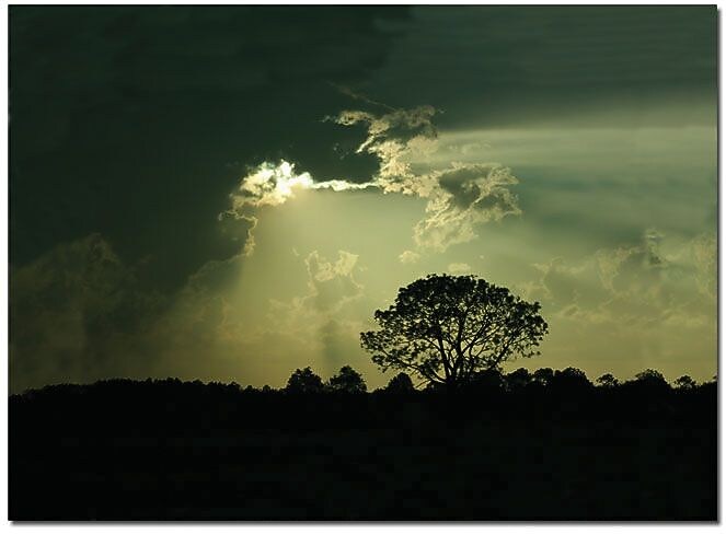 Trademark Global Patty Tuggle "Light and Dark" Canvas Art, 16" x 24"