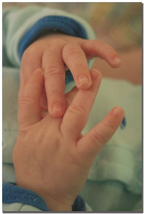 Trademark Global Patty Tuggle "Baby Boy Hands" Canvas Art, 24" x 16"