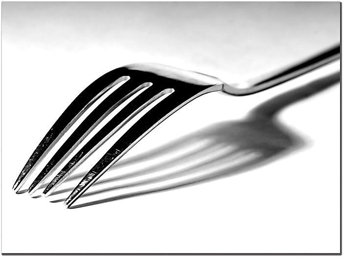 Trademark Global Tammy Davison "Fork" Canvas Art, 26" x 32"