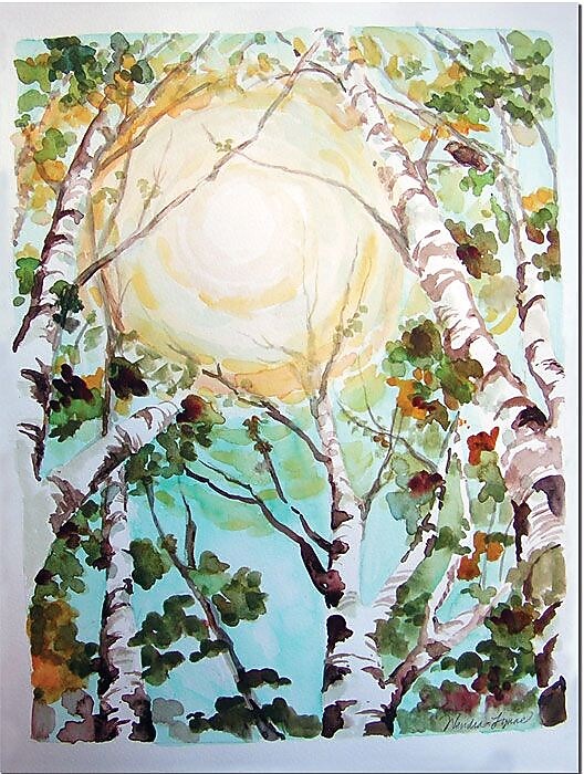 Trademark Global Wendra "Birch Trees" Canvas Art, 24" x 18"