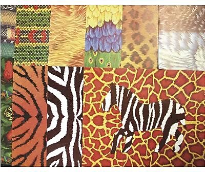 Roylco Amazing Animal Craft Paper, 8.5" x 11", Assorted Designs, 40 Sheets (R-15256)