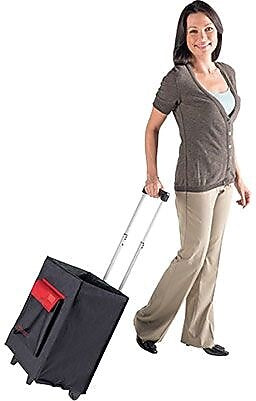 Learning Resources Teacher Tote-All Classroom Organization (LER1953)