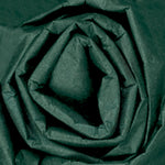 Partners Brand 20" x 30" Tissue Paper, Evergreen, 480 Sheets/Pack (T2030T)