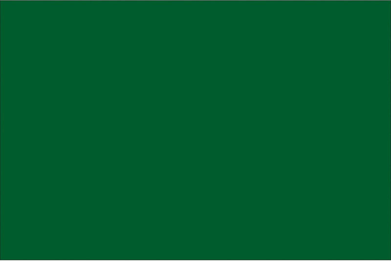Tape Logic 2" x 4" Rectangle Inventory Label, Green, 500/Roll