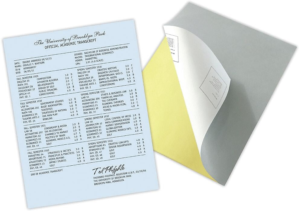 Blanks USA Kan't Kopy 8.5" x 11" Carbonless Security Paper, 20 lbs., Blue, 2500 Sheets/Carton (KC2CA1VBL)