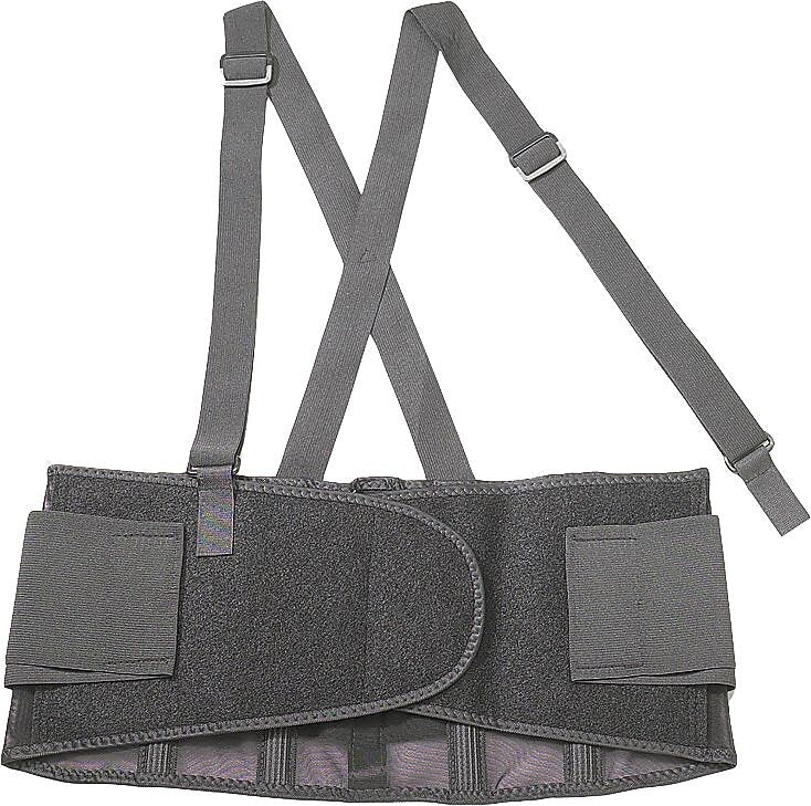 Ergodyne® ProFlex® Economy Back Support, Black, Large, 1 Each