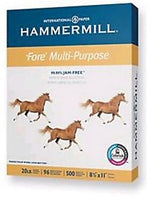 Hammermill Fore 3-Hole Punched 8.5" x 11" Multipurpose Paper, 24 lbs. 96 Brightness, 500 Sheets/Ream (101287)