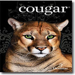 Cougar 80 lb. Paper, 8.5" x 11", Natural, 2000 Sheets/Case (7703WCASE)