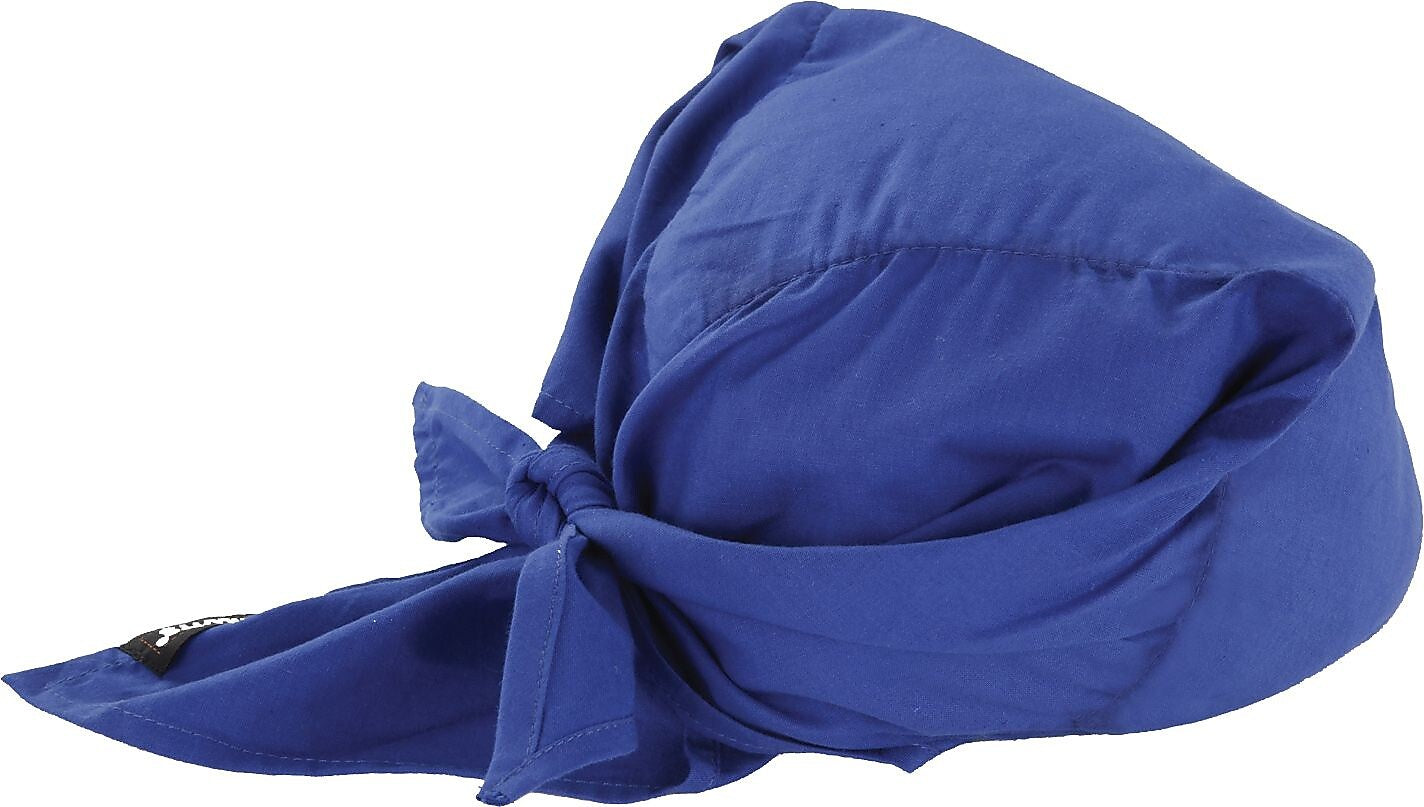 Ergodyne Chill-Its 6710 Cooling Bandana, Blue, One Size, 24/Carton (12327)