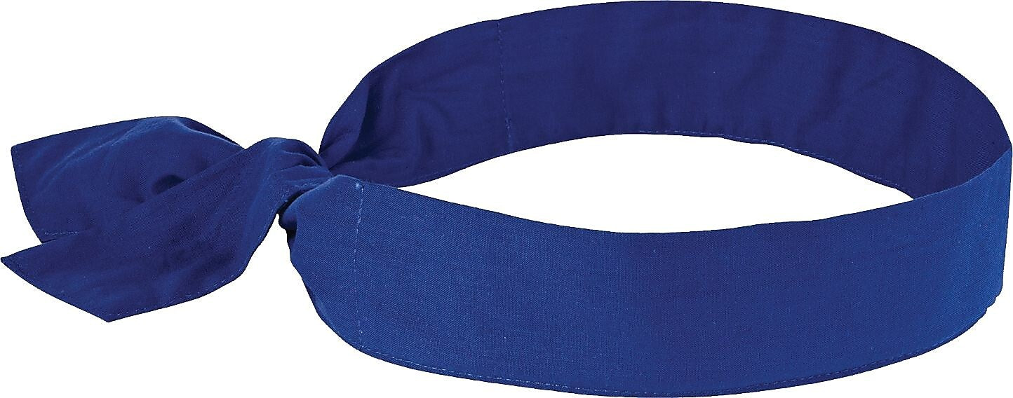 Ergodyne Chill-Its 6700 Cooling Bandana, Royal Blue, One Size, 24/Carton (12307)