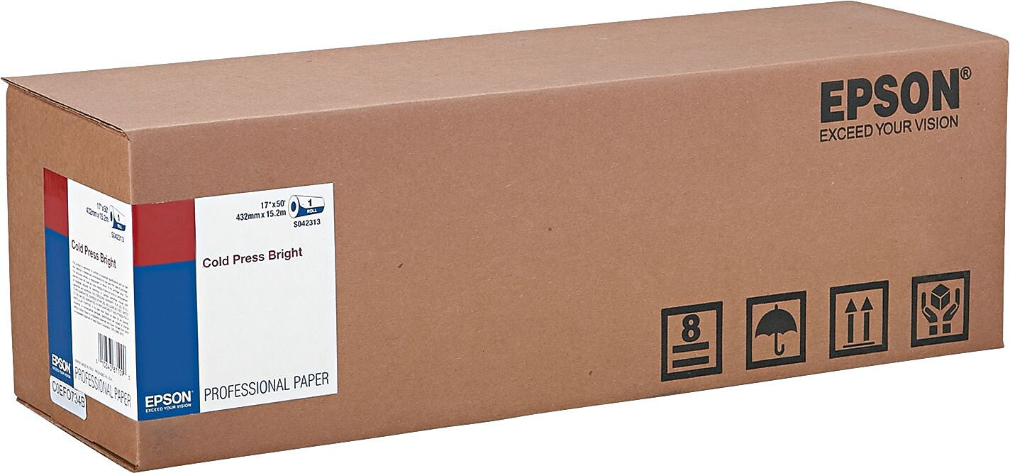 Epson Fine Art Cold Press Bright Wide Format Roll Paper, Textured Matte, 17" x 49' (C13S042313)