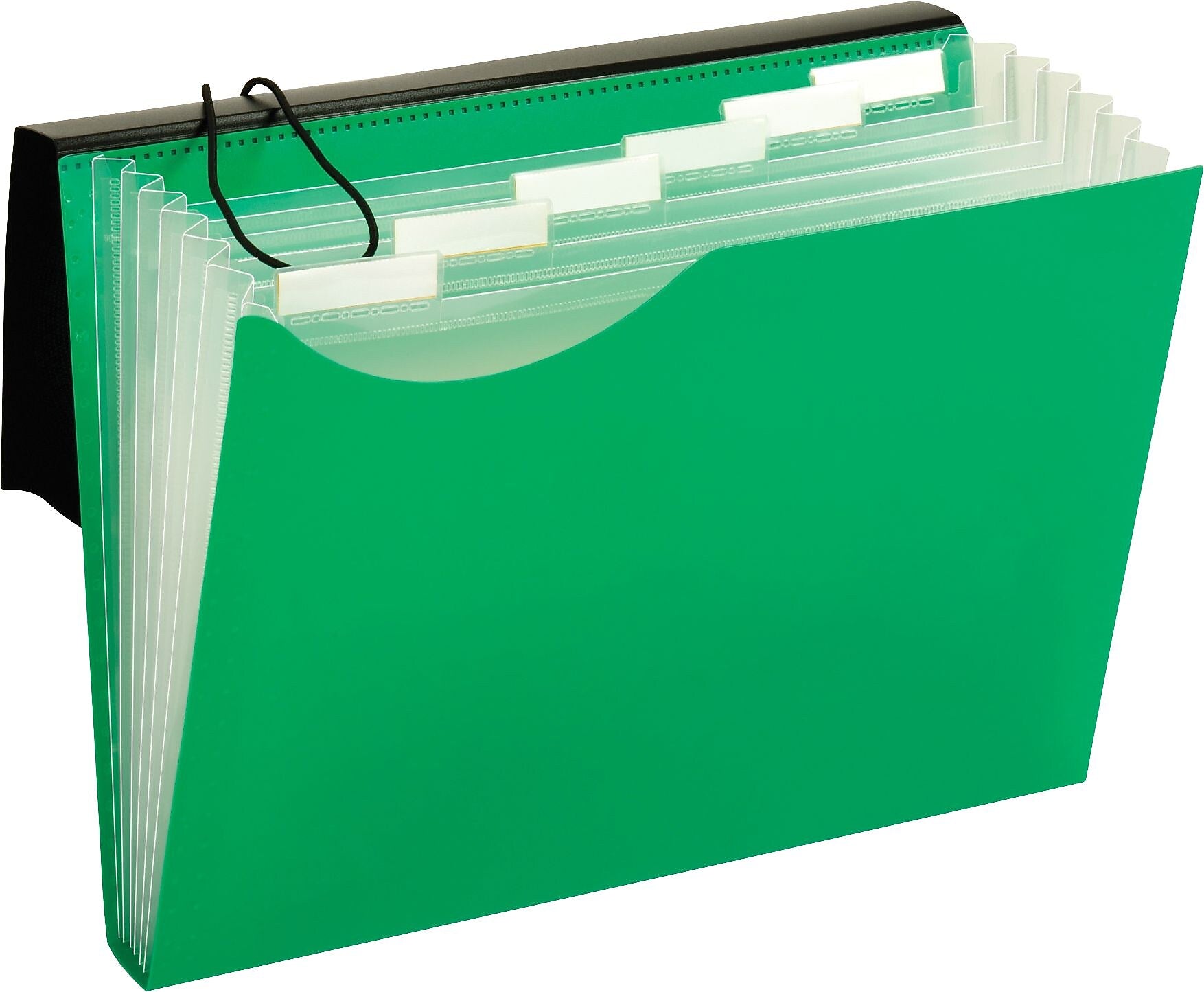 Pendaflex Plastic Accordion File, 7-Pocket, Letter, Green (67440GRN)