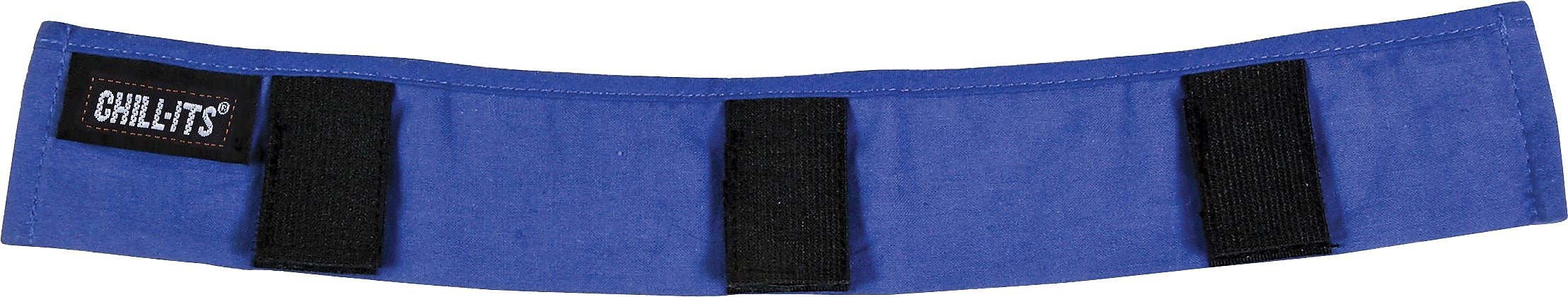 Ergodyne Chill-Its 6716 Hard Hat Cooling Liner, Polymer, Blue, 24/Carton (12338)