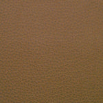 Raynor Eurotech Apollo Fabric Mid-back Multi-Function Task Chair, Canyon Mudslide (MTHB94 CANY-MUD)