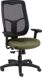 Raynor Eurotech Apollo Fabric Mid-back Multi-Function Task Chair, Expo Leaf (MTHB94EXPOLEAF)