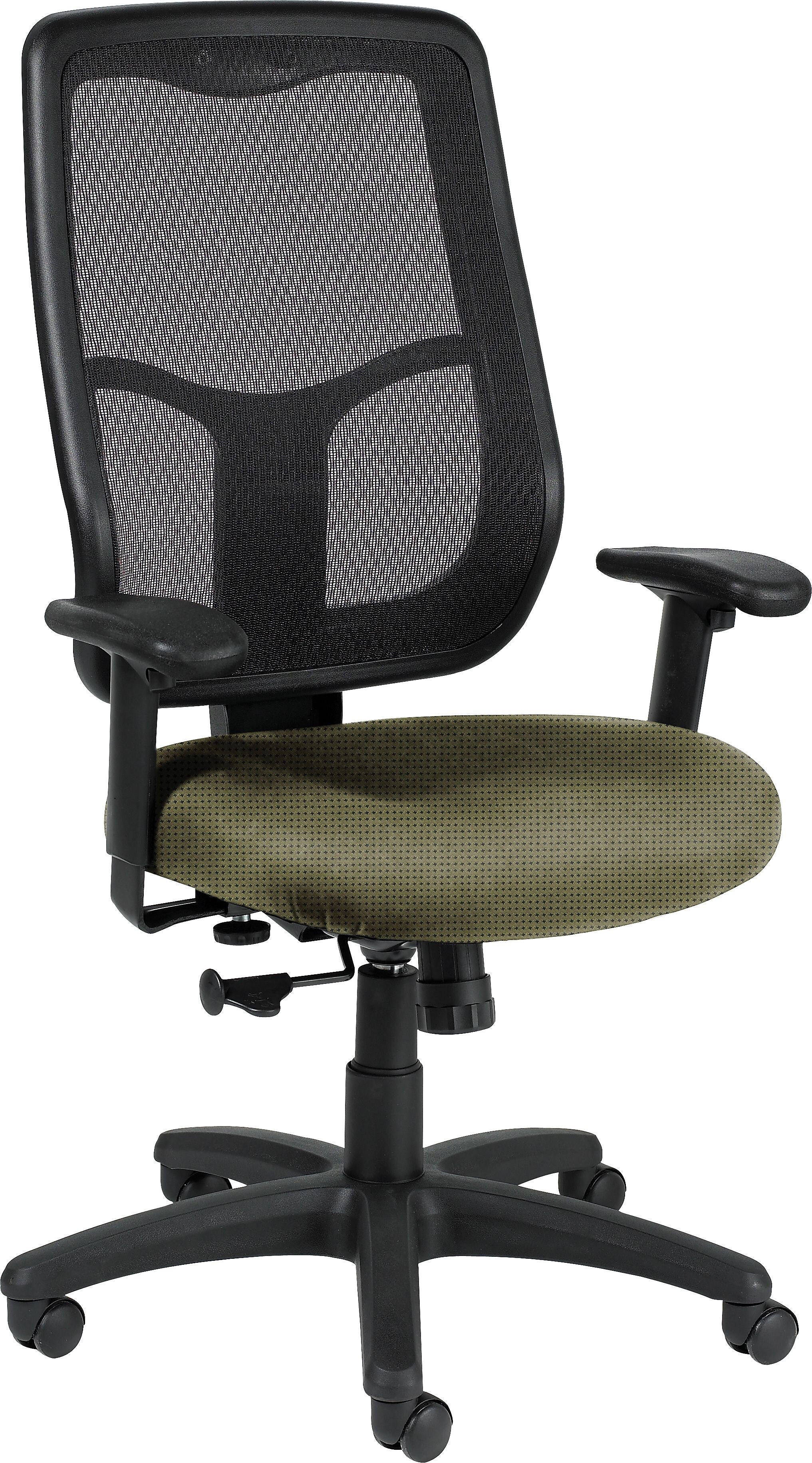Raynor Eurotech Apollo Fabric Mid-back Multi-Function Task Chair, Expo Leaf (MTHB94EXPOLEAF)