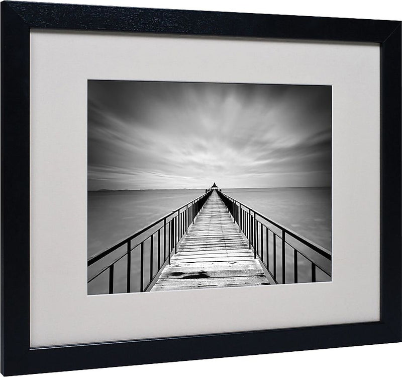 Trademark Fine Art 'Withstand' 16" x 20" Black Frame Art
