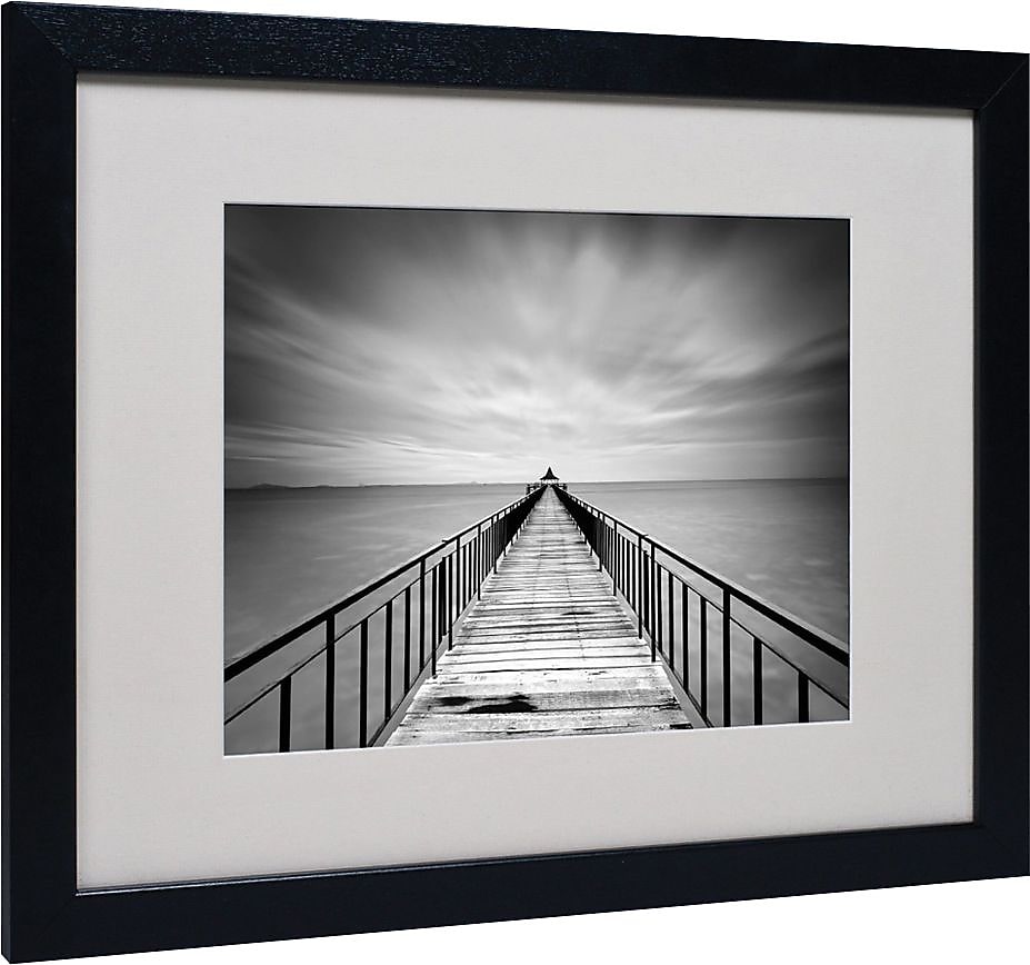Trademark Fine Art 'Withstand' 16" x 20" Black Frame Art