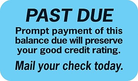Past Due Collection Medical Labels, Past Due, Light Blue, 7/8x1-1/2", 500 Labels