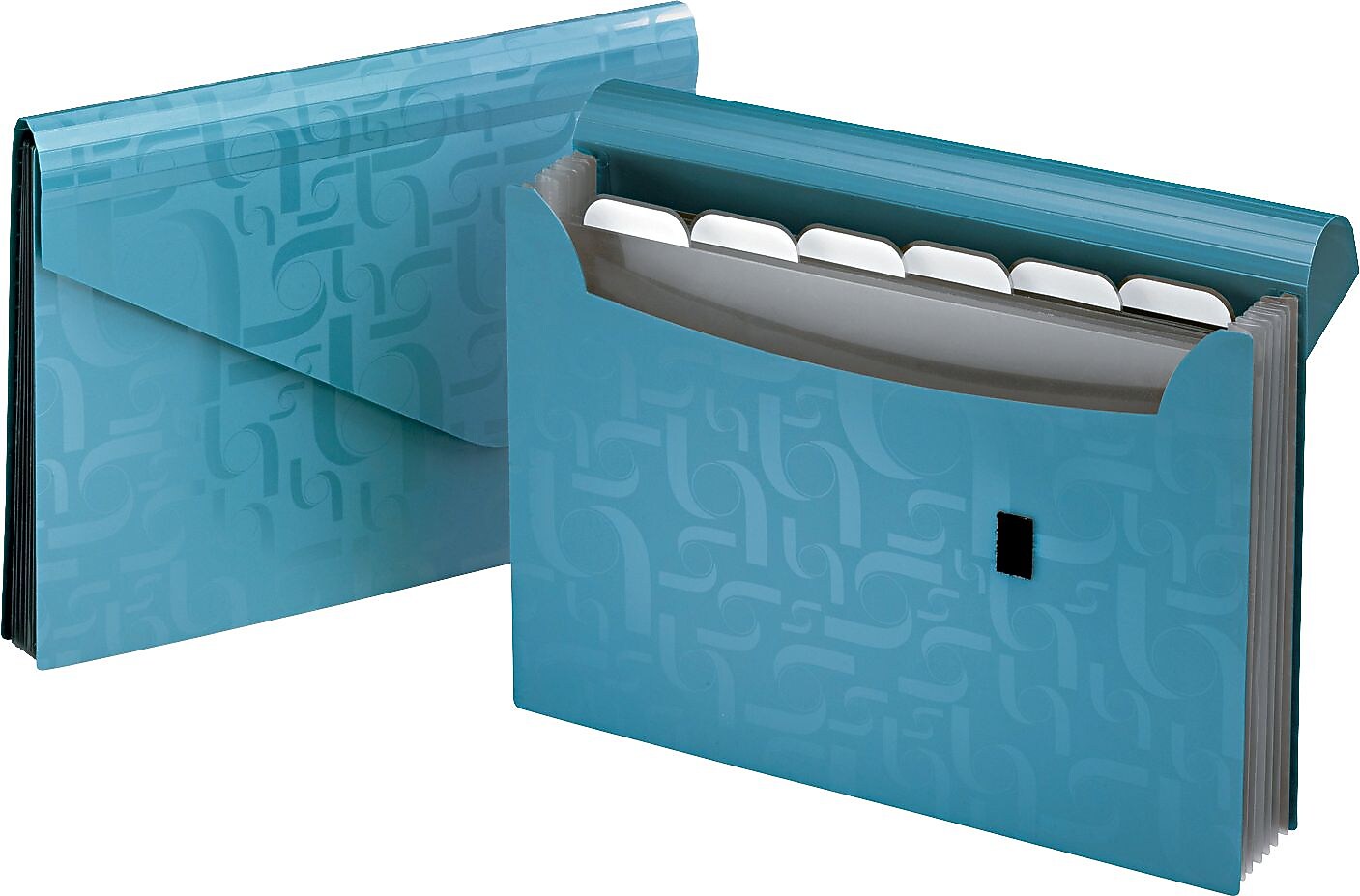Pendaflex Plastic Accordion, Letter Size, Blue (PFX01158)