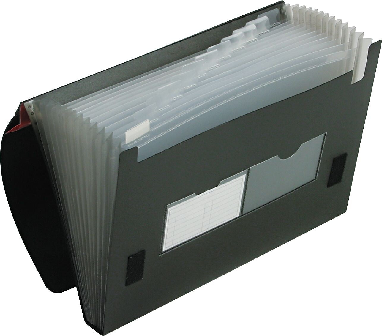 Pendaflex Heavy Duty Four Inch Expansion File, 13 Pockets, Poly, Letter, Black (82011EE)