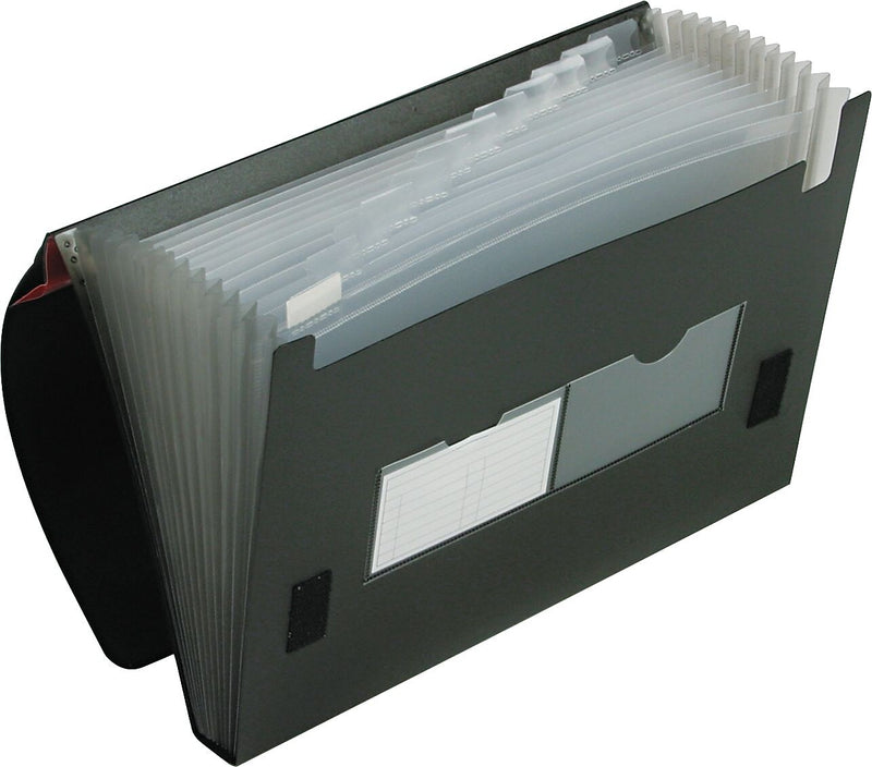 Pendaflex Heavy Duty Four Inch Expansion File, 13 Pockets, Poly, Letter, Black (82011EE)