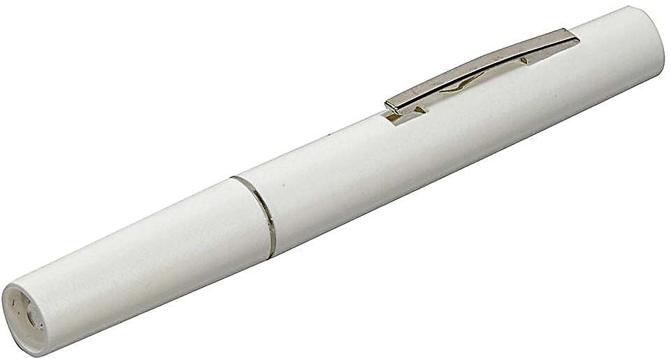 Briggs Healthcare Reusable Penlight Silver