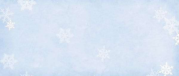 Great Papers Winter Flakes Envelopes, 9.5" x 4.125", Blue/White, 40 Count (2014085)