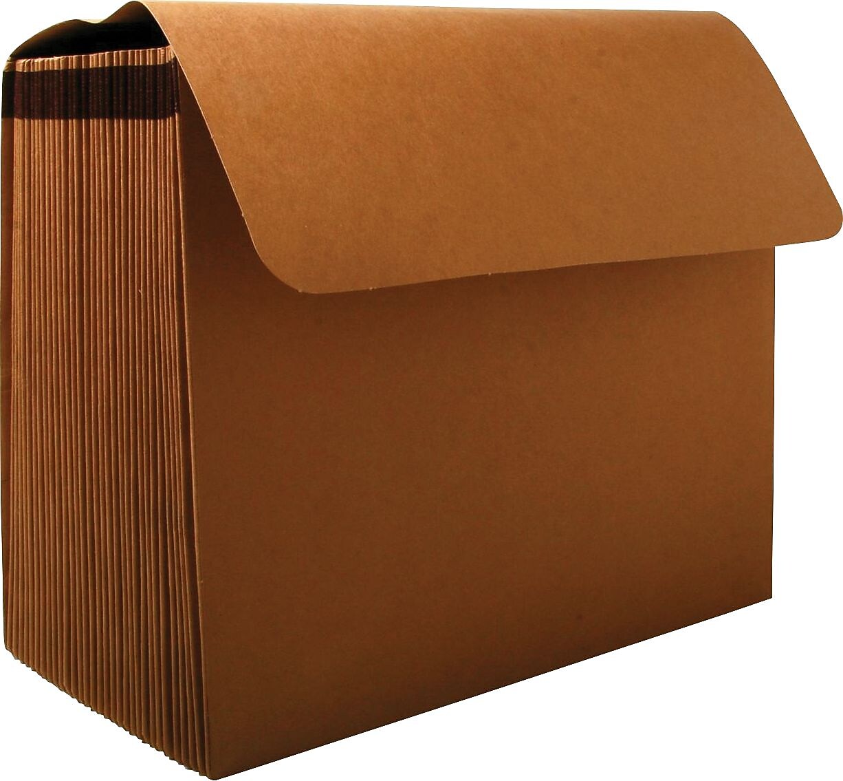 AbilityOne National Industries for the Blind Heavy Duty Expanding File Wallets, 1-31