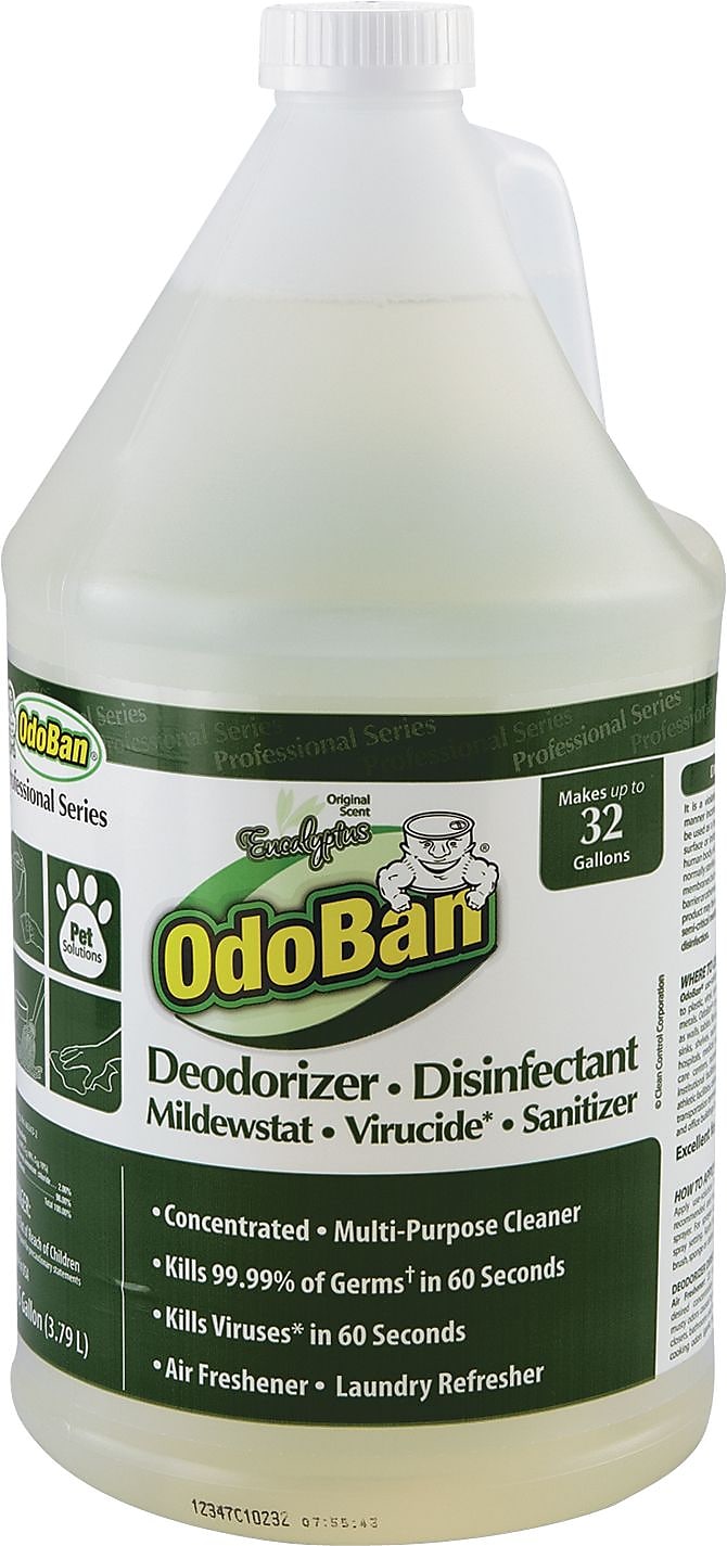 OdoBan Concentrated Odor Eliminator, Eucalyptus, 1 Gallon, 4/Carton (ODO911062G4)
