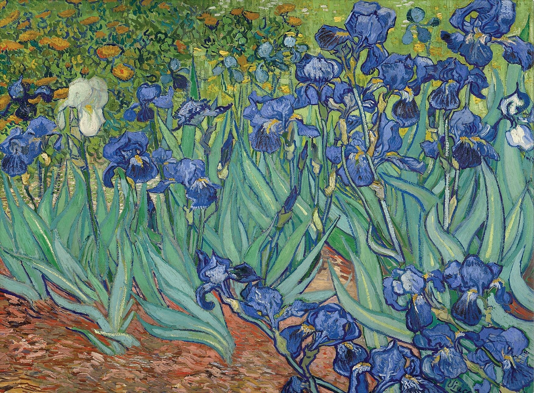 Trademark Global Vincent Van Gogh "Irises, 1889" Canvas Art, 18" x 24"